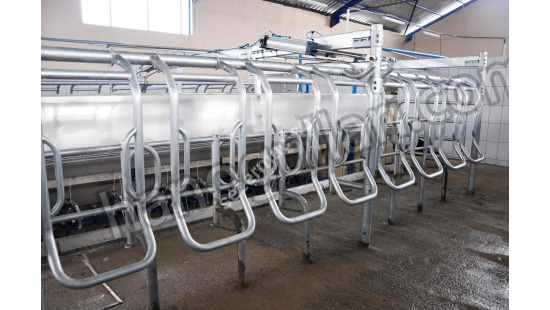 Parallel Quick Exit Milking Systems