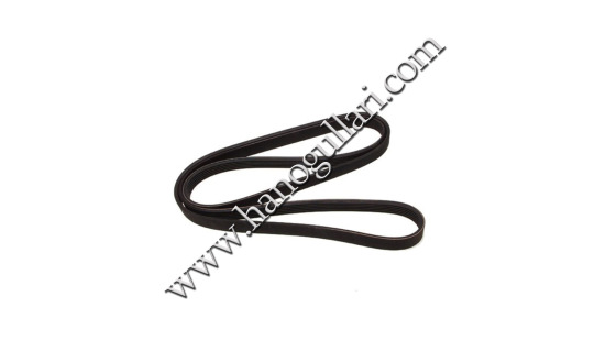 Ribbed Belts