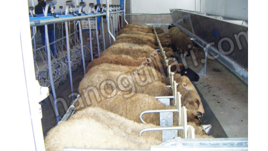 Sequential Output Milking Systems