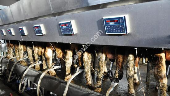 Parallel Quick Exit Milking Systems