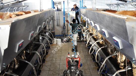 Parallel Quick Exit Milking Systems