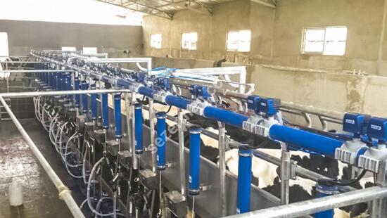 Parallel Quick Exit Milking Systems