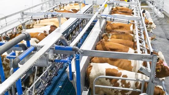 Parallel Quick Exit Milking Systems