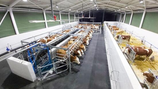 Parallel Quick Exit Milking Systems