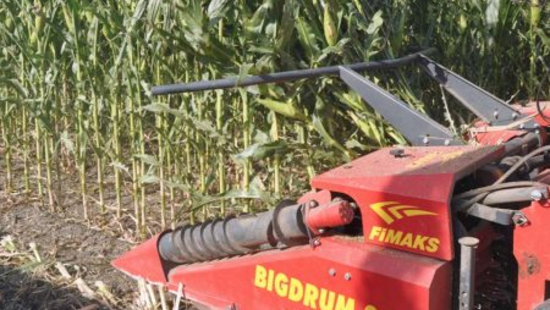 Three-Row Sequence Independent Corn Silage Machine BIGDRUM 2200