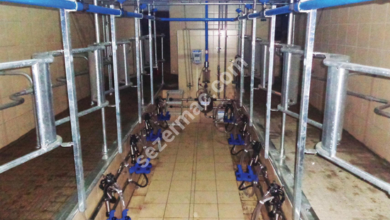 Balıkkılçığı Model Sağım Sistemleri