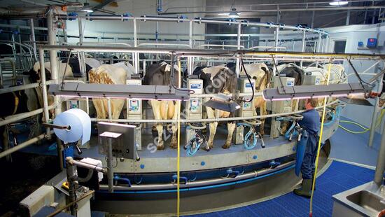 Rotary (Carousel) Milking Systems