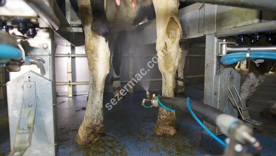 Rotary (Carousel) Milking Systems