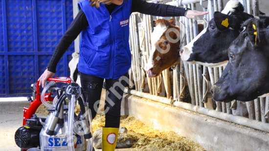 Mini-1 (20lt) Portable Milking Machine