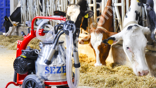 Mini-1 (20lt) Portable Milking Machine
