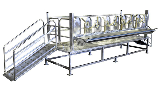 Ovine Milking Ramp