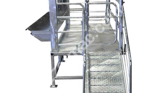 Ovine Milking Ramp