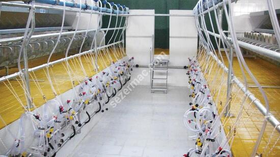 Sequential Output Milking Systems