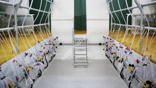 Sequential Output Milking Systems