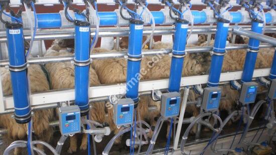 Sequential Output Milking Systems