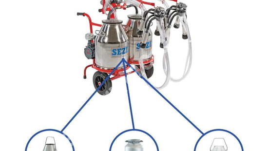 IMLPS-2 2 Milking Head, 2 Bucket